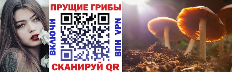 Галлюциногенные грибы мухоморы  дарк нет наркотические препараты  Грозный 
