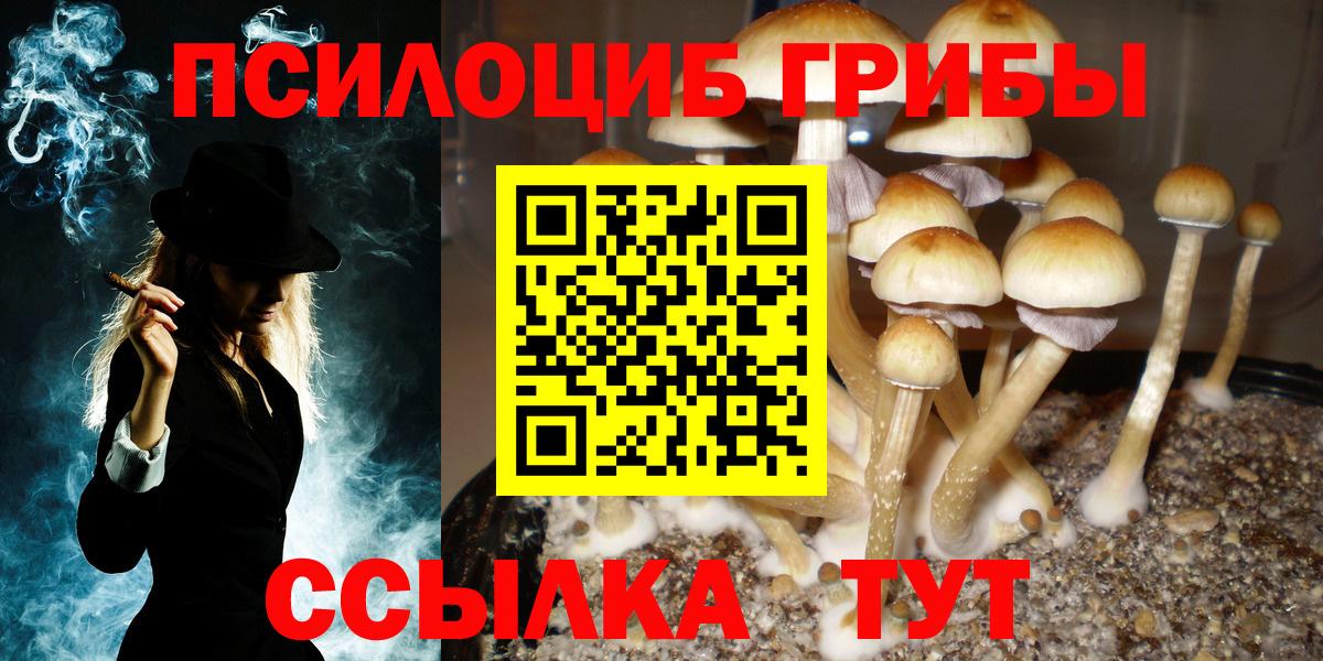 Галлюциногенные грибы MAGIC MUSHROOMS  Вход с VPN  Грозный 