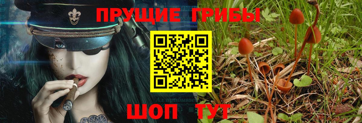 Галлюциногенные грибы прущие грибы  купить  цена  Грозный 