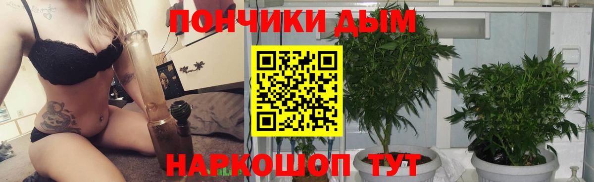 Амфетамин Грозный